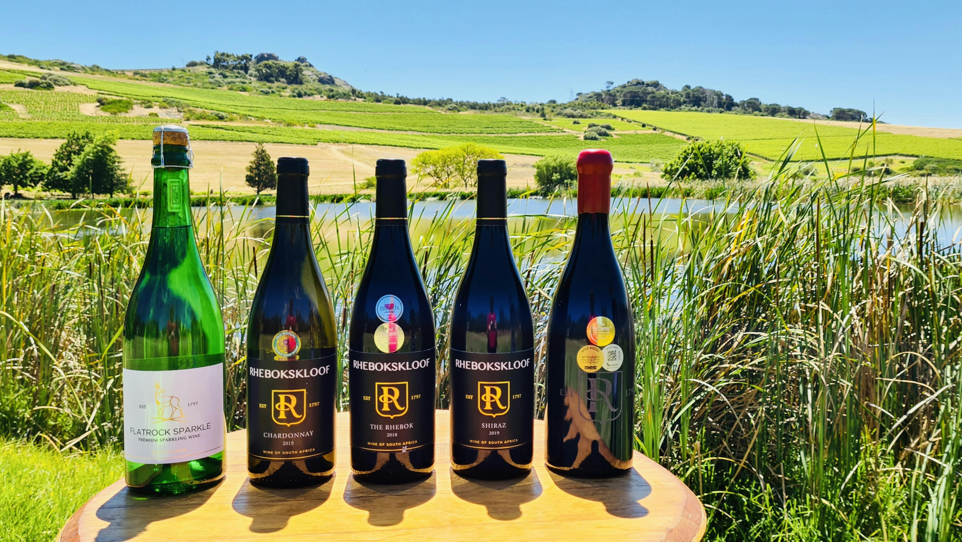 Paarl, Franschhoek, Stellenbosch Region Explorer Wine Tour - Photo 1 of 2